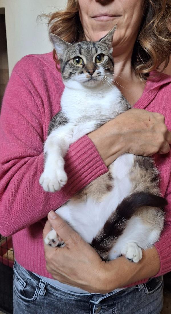 Onda e Mare sorelline 6 mesi Foto 4